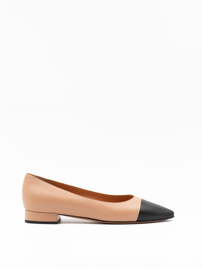 Two tone flat shoe
